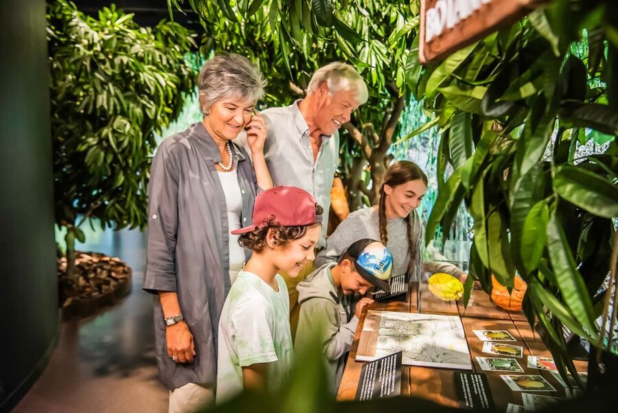 Lindt Home of Chocolate Museum Entry Ticket - The Gift Shop, How to Decide What to Buy Without Regret