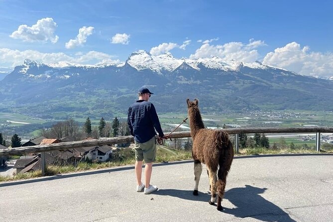Llama hike through the wonderful Liechtenstein mountains - Llamas, alpacas, and Liechtenstein mountain air