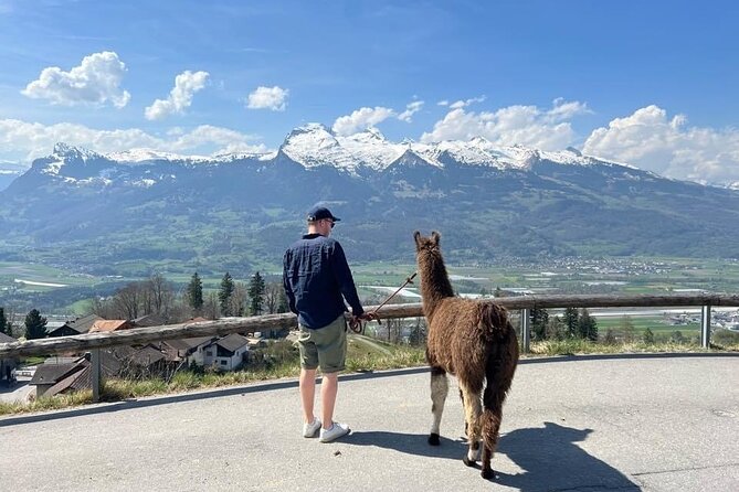 Llama hike with homemade, traditional cheese fondue - Quick reasons to go