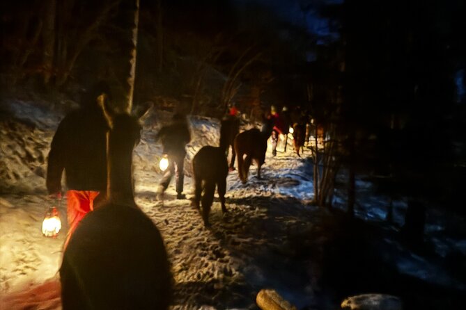 Llama hike with homemade, traditional cheese fondue - Llama- & Alpakahof Triesenberg: what this evening experience really is