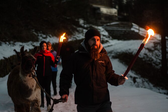 Llama hike with homemade, traditional cheese fondue - The guided llama hike: how you’ll spend those first hours
