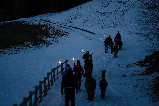 Llama hike with homemade, traditional cheese fondue - The homemade cheese fondue dinner: the real highlight