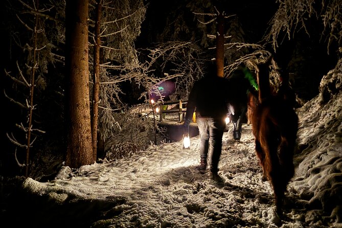 Llama hike with homemade, traditional cheese fondue - Who should book this llama hike with fondue