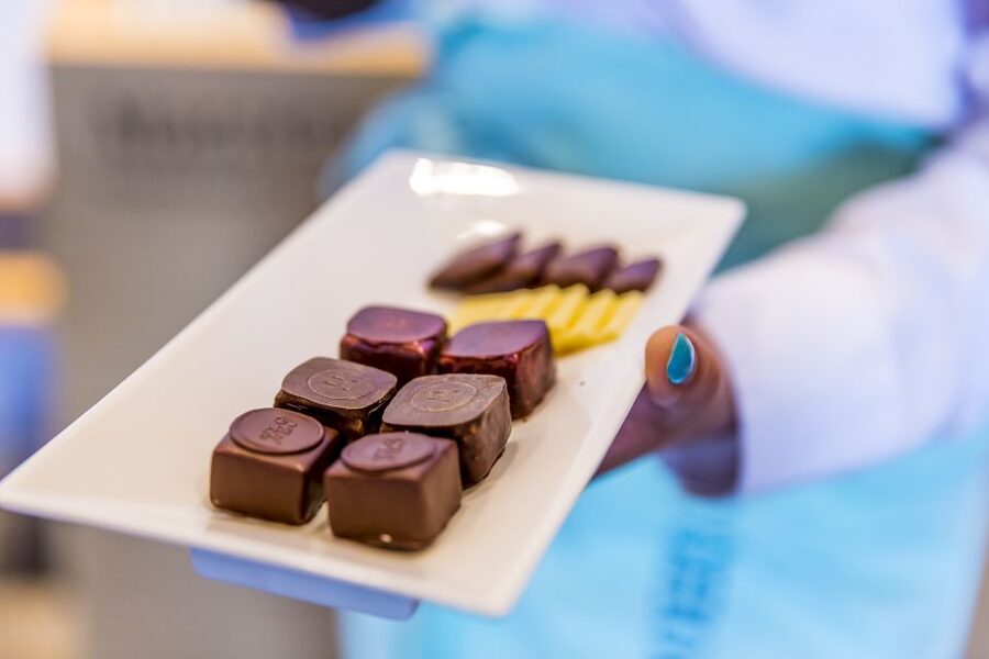 Lucerne: Chocolate Tasting with Lake Trip and City Tour - Lake Lucerne Boat Cruise: When You Get the Best Panorama Time