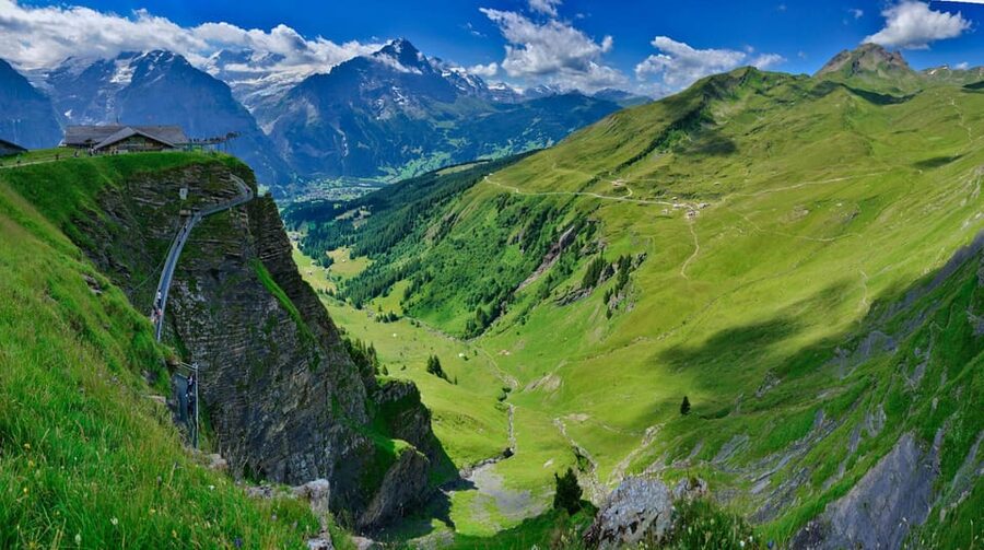 Lucerne: Interlaken & Grindelwald Exclusive Private Day Tour - Price and Value at $297 Per Person, Who It Fits Best