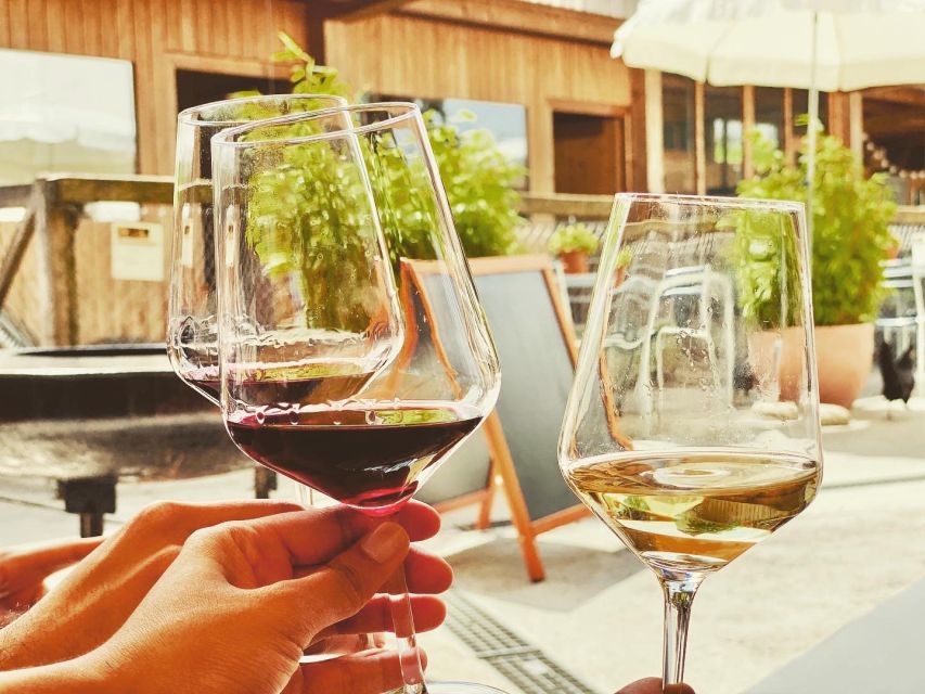 Lucerne: Swiss Zvieri Traditional Tasting Experience - What to expect from the optional Lake Lucerne boat cruise