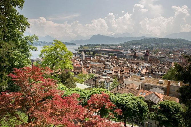 Lucerne Walking & Boat Tour: The Best Swiss Experience - Cheese tasting and package choices, how to pick the right finale