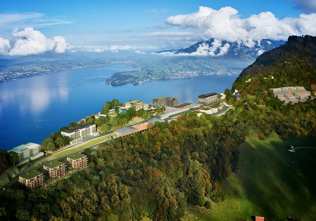 Mount Bürgenstock Independent Tour from Lucerne - Who this trip suits best
