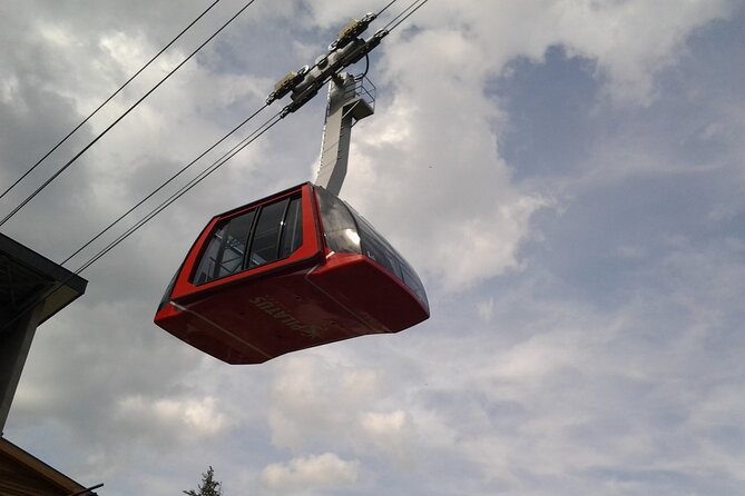 Mount Pilatus Small Group off-season Day Trip from Luzern - The Gondola Route: Krienseregg, Fräkmüntegg, Then Pilatus Kulm