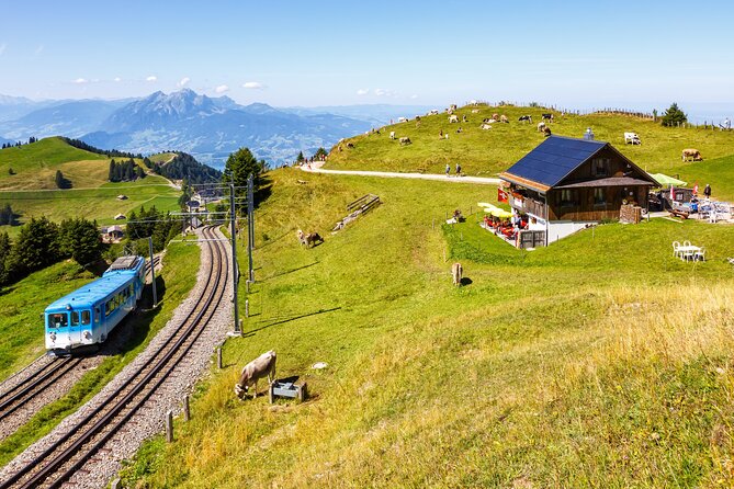 Mount Rigi: A Scenic Day Trip to the Queen of the Mountains - One hour at the top: how to make the most of it