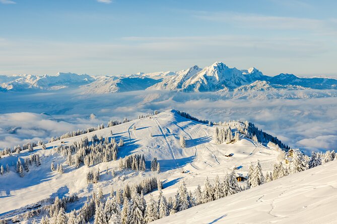 Mount Rigi Day Ticket - Key highlights at a glance