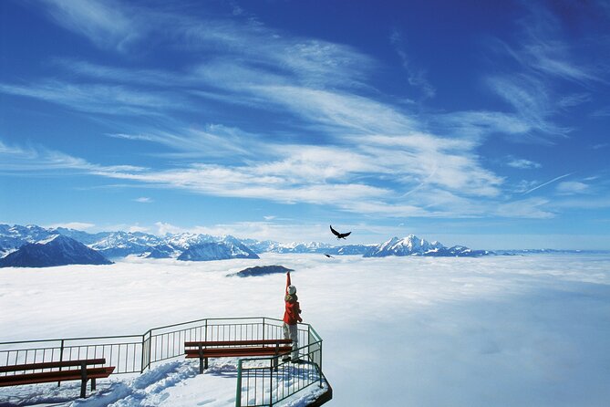 Mount Rigi Day Ticket - Going up by cogwheel, Vitznau to Rigi Kulm