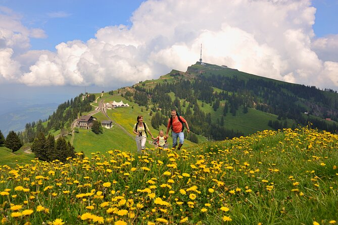 Mount Rigi Day Trip from Lucerne - The ride back to Lucerne: boat time to decompress and wrap up
