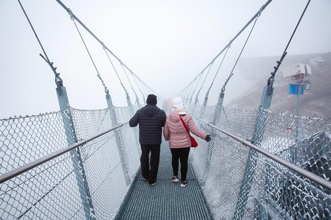 Mount Titlis and Lucerne Day Trip from Zurich - Ice Flyer Chairlift: Optional but Often a Big Win