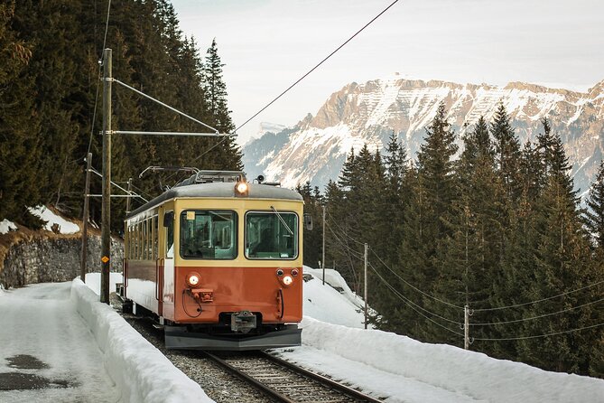 Mountain Majesty: Small Group Tour to Lauterbrunnen and Mürren - Grütschalp gondola, ridge train, and the Eiger-Mönch-Jungfrau skyline effect