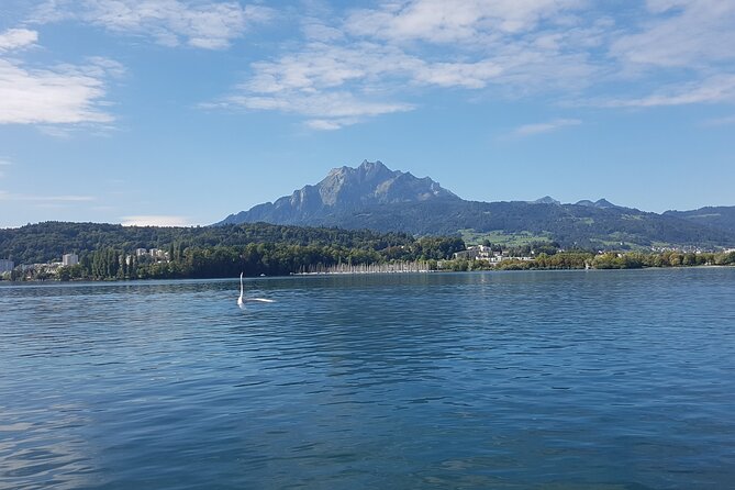 Mt. Pilatus Golden Roundtrip Small Group Day Trip from Lucerne - Going Down and Back to Lucerne Without Losing Time