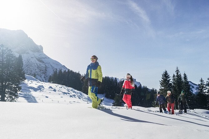 Mt. Pilatus Gondola and Aerial Cableway Ticket from Kriens - Why Mt. Pilatus from Kriens is a smart half day