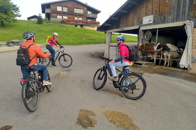 Panoramic E-Bike Tour with a Lake Cruise - Brunnen’s Swiss Army Knife Visitor Center: culture you can hold in your hand
