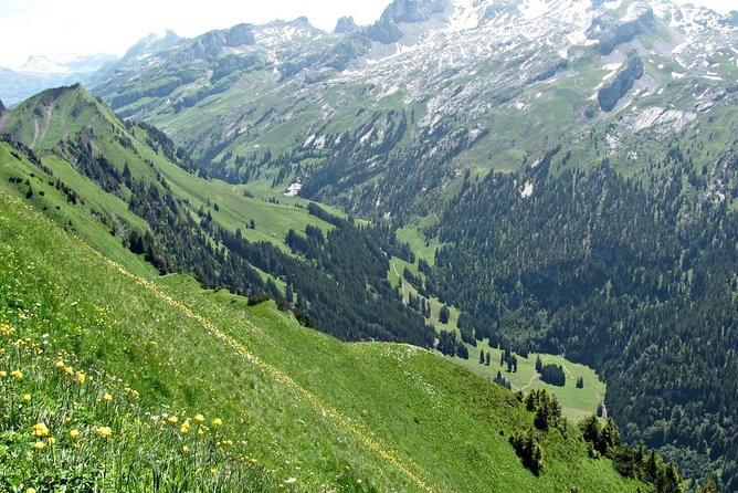 Peak to Peak Private Hiking Tour from Lucerne - Picnic Lunch on the Ridge, Plus Wild Hay Farming Details