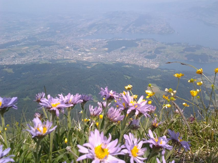 Pilatus: Exclusive Private Golden Round Trip from Lucerne - Summit Visitor Center time, lunch, and weather reality