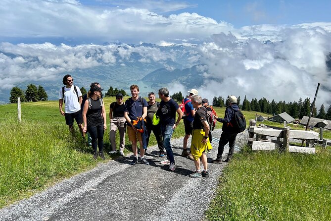 Private Guided Hike on Mt. Rigi with Farm Visit and BBQ - Cruise Back to Lucerne by Boat: The Unplanned-Feels-Perfect Bonus