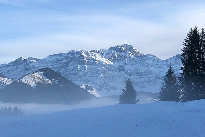 Private Guided Swiss Alps Day Trip from Zurich with Hotel Pick-Up - Appenzell Village and Schwagalp: Small Town Color and a Short Alpine Walk