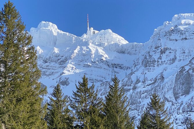 Private Guided Swiss Alps Day Trip from Zurich with Hotel Pick-Up - Appenzeller Schaukäserei: The 12,500 Wheel Cellar and Tasting