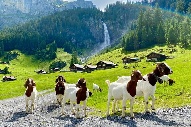 Private tour to the most breathtaking insider spots in Switzerland (1 day) - How the day is paced, and why the private format matters
