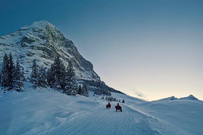 Private trip from Zurich to Jungfraujoch (The Top of Europe) - Key highlights you will actually feel during the day