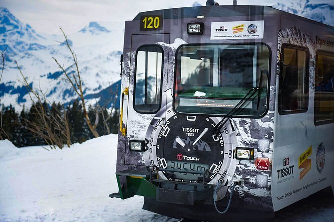 Private trip from Zurich to Jungfraujoch (The Top of Europe) - Tickets and what you need to know before you go
