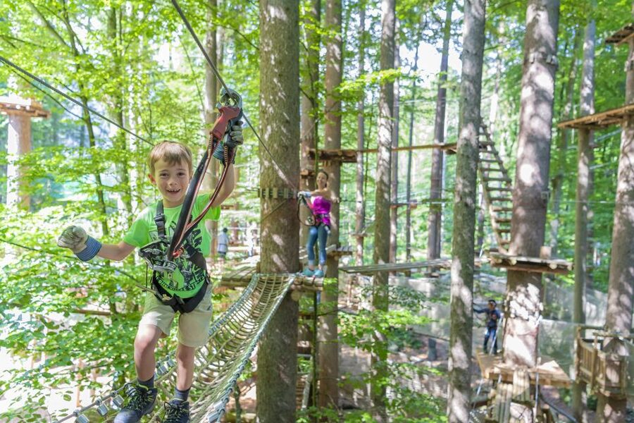 Rope Park Interlaken: Climbing Adventure with Entry Ticket - Key things you will notice right away