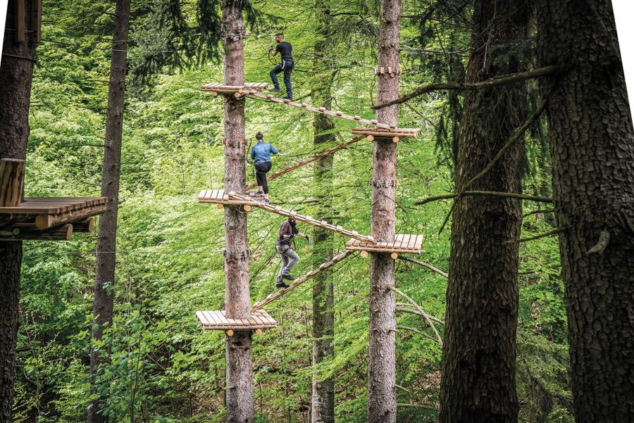 Rope Park Interlaken: Climbing Adventure with Entry Ticket - Height rules, who can do what courses
