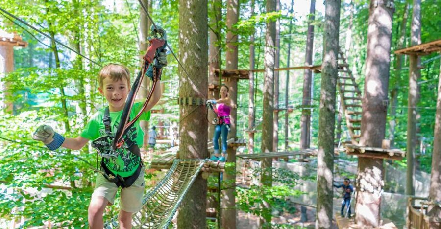 Rope Park Interlaken: Climbing Adventure with Entry Ticket - Rope Park Interlaken in a nutshell, what it feels like