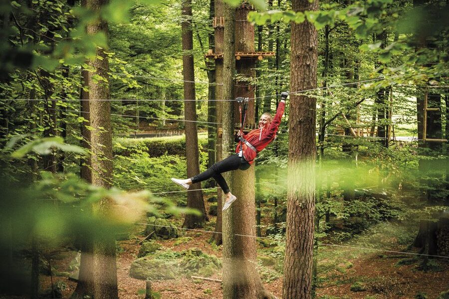 Rope Park Interlaken: Climbing Adventure with Entry Ticket - Your course game plan, 9 courses and 160 tasks