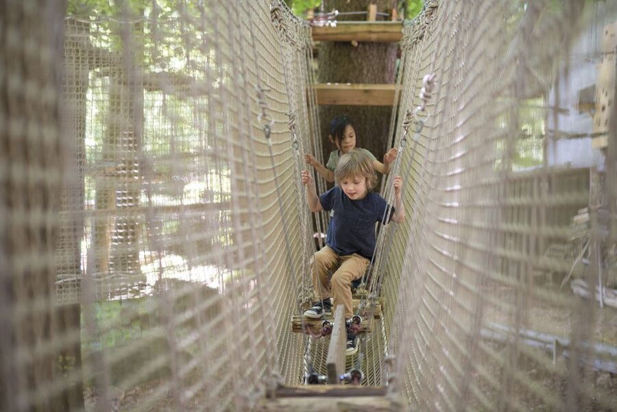 Rope Park Interlaken: Climbing Adventure with Entry Ticket - Tarzan swings in a real Swiss forest setting