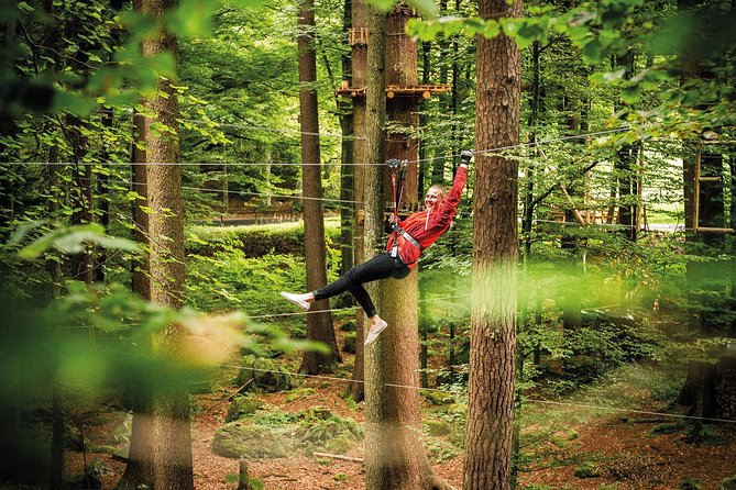 Ropes Park Interlaken - Nine courses, 100+ challenges, and why the difficulty varies