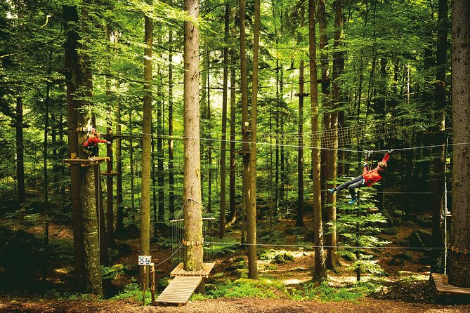 Ropes Park Interlaken - Who this suits best, and who might want to think twice
