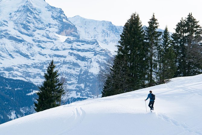 Snowshoe Adventure in the Swiss Alps - Key highlights that matter