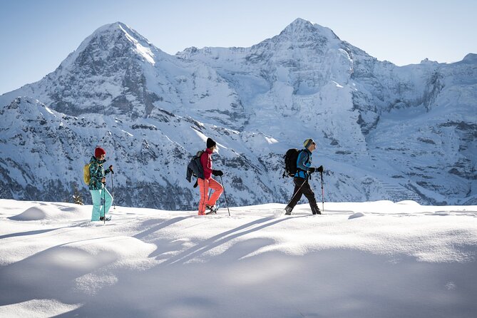 Snowshoe Adventure in the Swiss Alps - How Physically Hard Is It, Really?