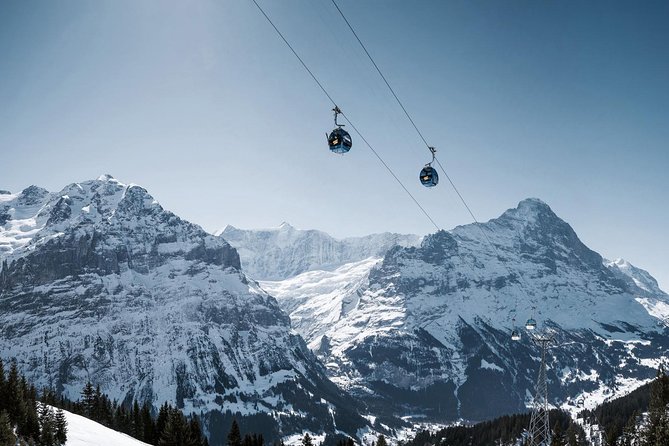 Swiss Alps: Interlaken and Grindelwald Day Trip from Zurich - Price and Value: What $130.45 Buys You, and What It Does Not
