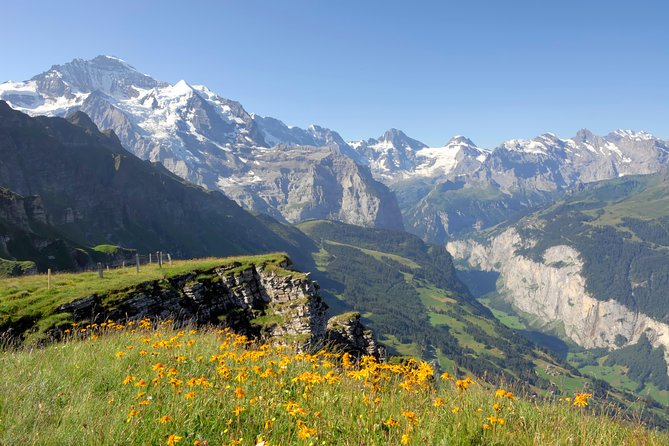 Swiss Alps: Interlaken and Grindelwald Day Trip from Zurich - Should You Book This Zurich to Interlaken and Grindelwald Day Trip?