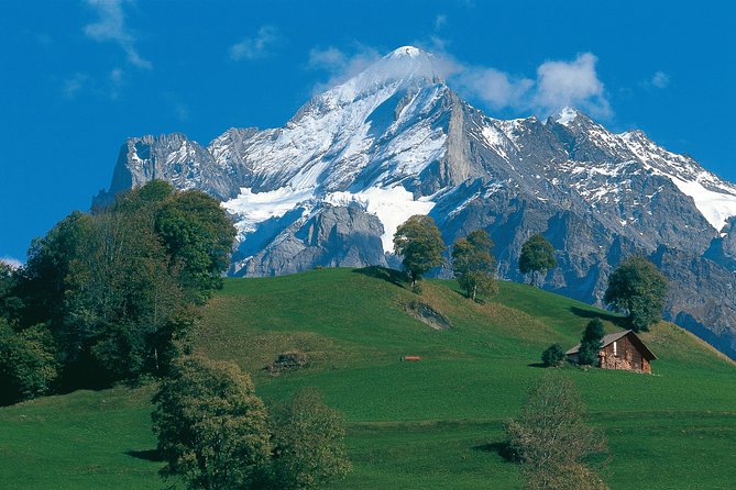 Swiss Alps: Interlaken and Grindelwald Day Trip from Zurich - Grindelwald, the Glacier Village Feel, Plus Mt. First in Summer