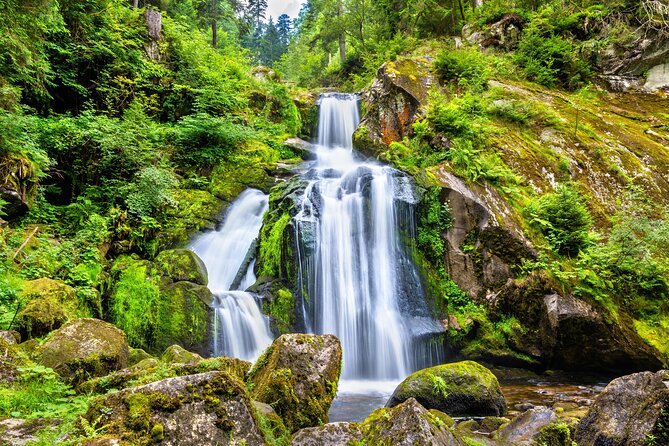 Trip from Zurich to Germany's Black Forest & Swiss Rhine Falls - Price and value: is $1,471.80 per group worth it?