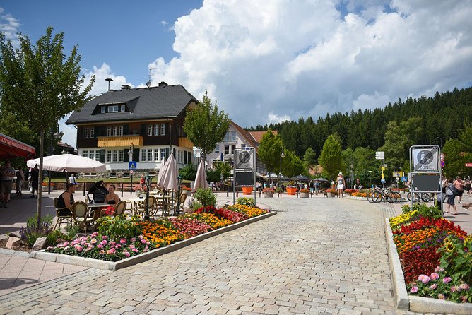 Trip from Zurich to Germany's Black Forest & Swiss Rhine Falls - Getting the most out of Rhine Falls, Triberg, and Titisee
