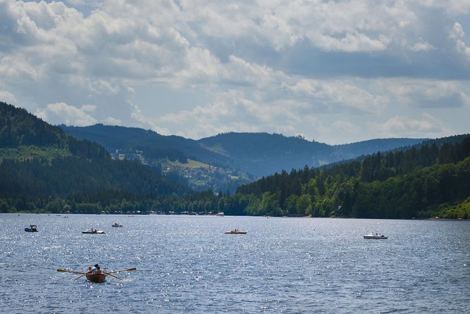 Trip from Zurich to Germany's Black Forest & Swiss Rhine Falls - Triberg waterfalls hike plus the old-town vibe in one hour