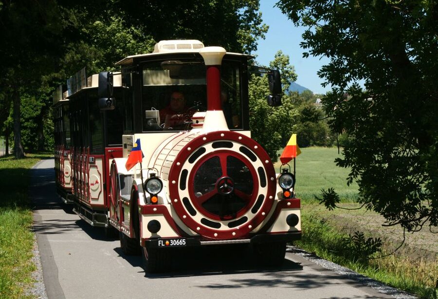 Vaduz: City Train Tour - The 35-minute route, Old Town, vineyards, and big viewpoints