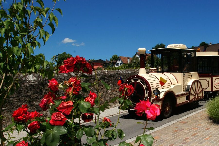 Vaduz: City Train Tour - Vineyard passing to the Red House photo stop and Vaduz Castle views