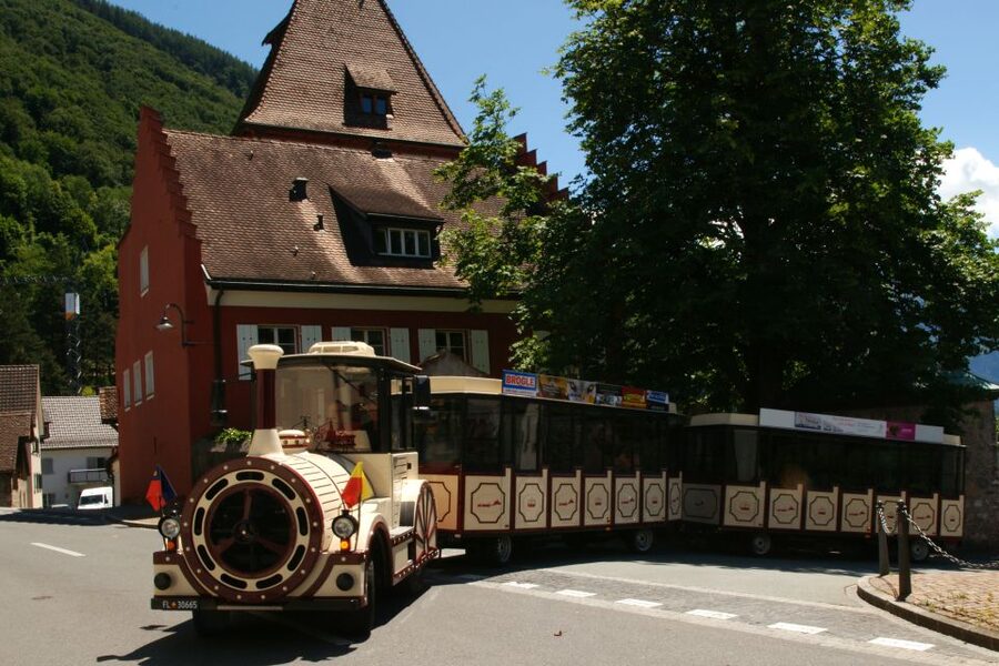 Vaduz: City Train Tour - Getting a feel for modern Vaduz, past Rheinpark Stadium