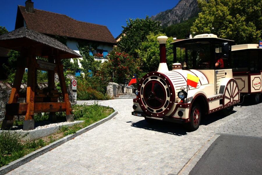 Vaduz: City Train Tour - The guide and audio system, what 40 languages changes for you