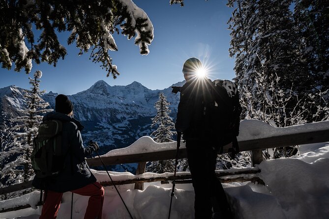 Winter Alpine Adventure - Gondola to Sulwald: the easiest way to start feeling the Alps